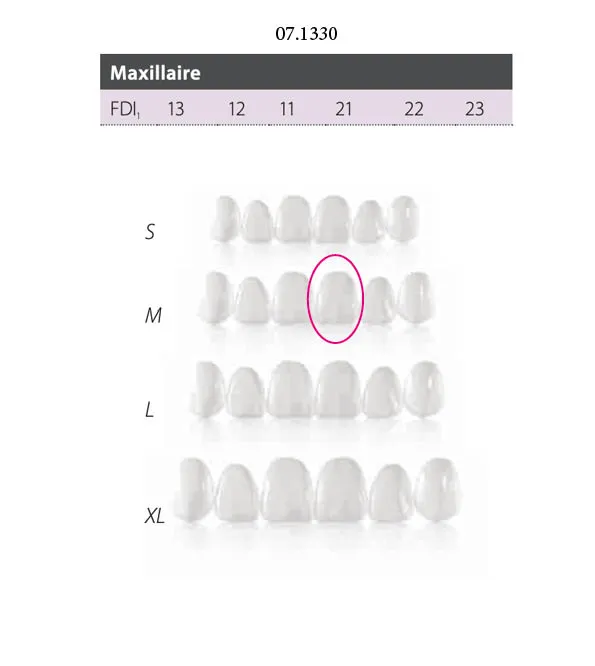 Facettes Componeer Superior M 60023131