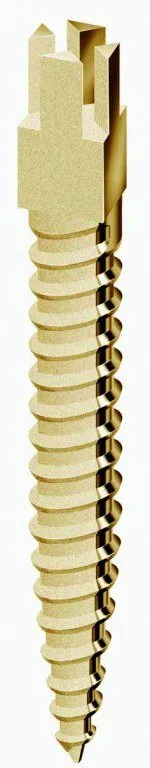 Screwpost gold S6  15stk