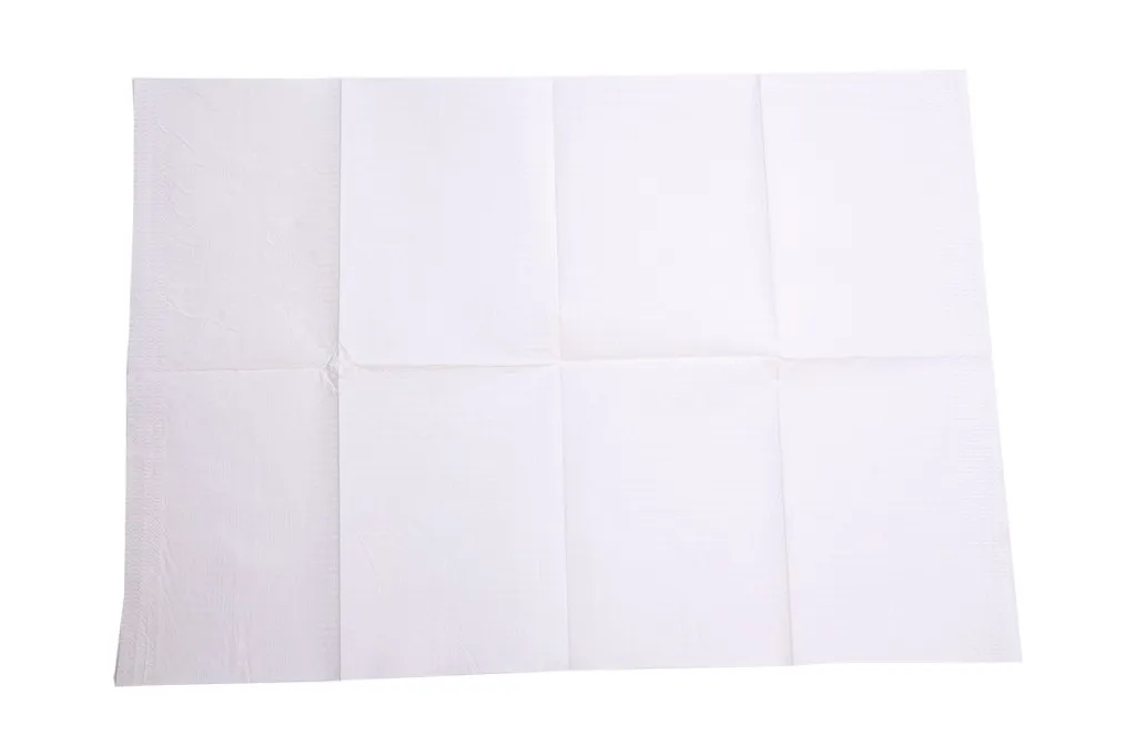Serviettes Patients 2Plis Blanc 500pcs