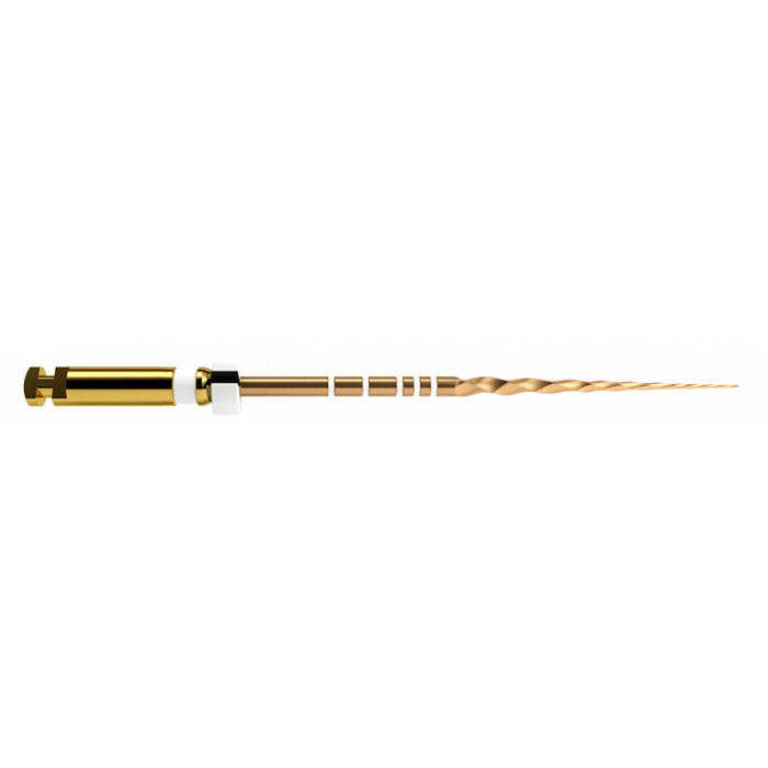 Protaper Gold S2 31Mm  6stk