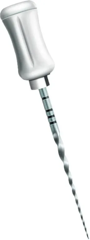 Protaper Shaping Manuel 21Mm S2  6stk