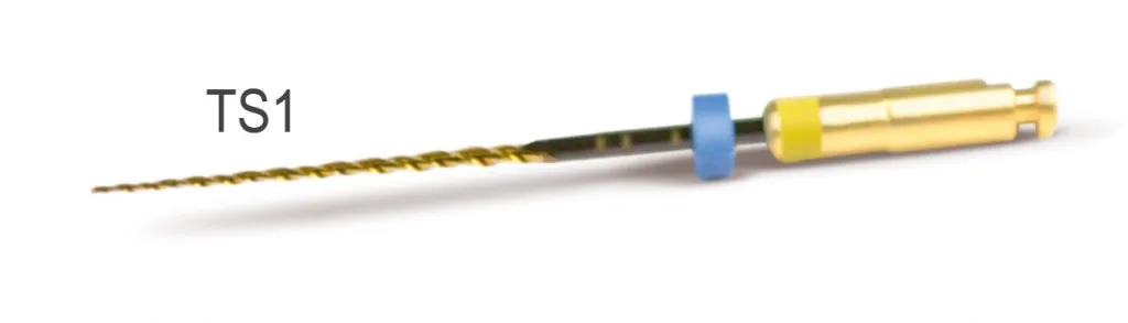 2Shape Ts1 31Mm Iso 25 4% Sterile