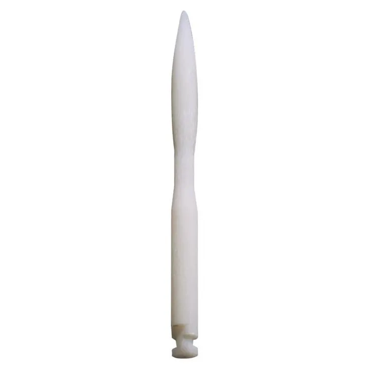 Stainbusters Paro  6stk