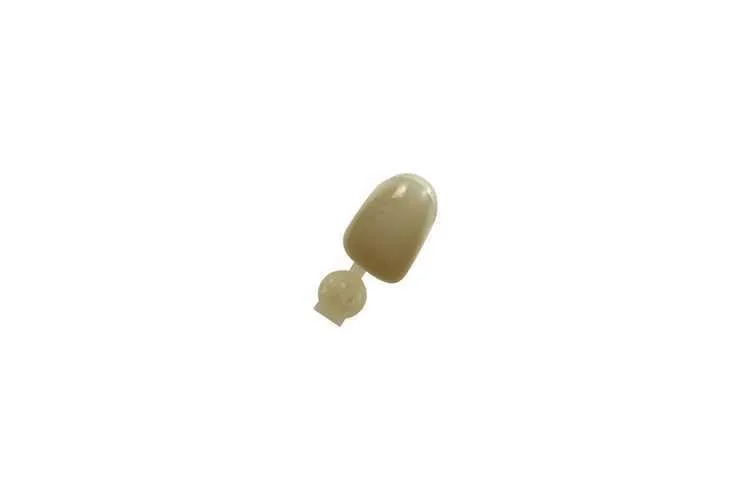 Polycarbonaatkroon Ion 020 5stk